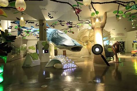 mind museum closing time|Everything You Need to Know about The Mind Museum.
